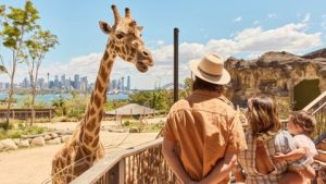 191123_Taronga_Zoo_Mosman_DT